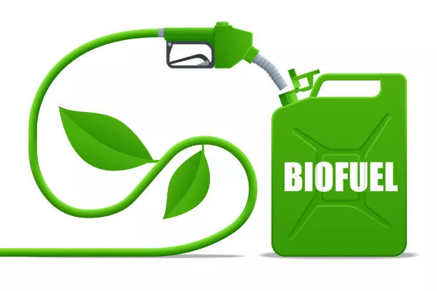 biogas or biofuels
