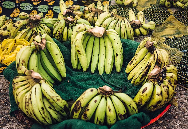 Plantain for sale at African city street market.